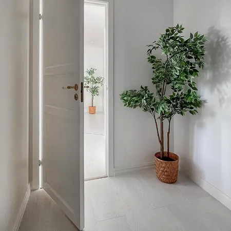 Apartment Beautiful In With Kitchen